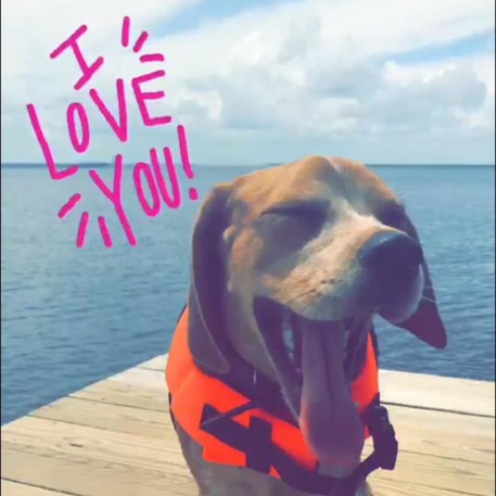 Meet your Posher, Grace